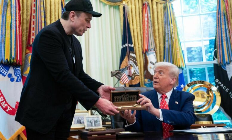 Trump Elon Musk