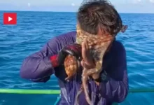 Un pêcheur philippin a remonté plus que ce qu'il n'attendait, lorsqu'une pieuvre s'est accrochée à son visage (1)