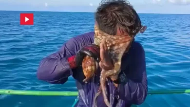 Un pêcheur philippin a remonté plus que ce qu'il n'attendait, lorsqu'une pieuvre s'est accrochée à son visage (1)