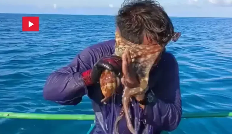 Un pêcheur philippin a remonté plus que ce qu'il n'attendait, lorsqu'une pieuvre s'est accrochée à son visage (1)