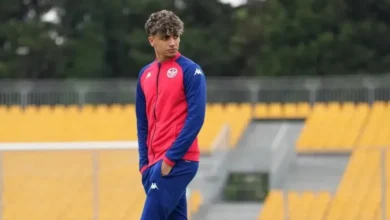 Walid Dhouib CSS