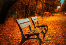 automne 2026