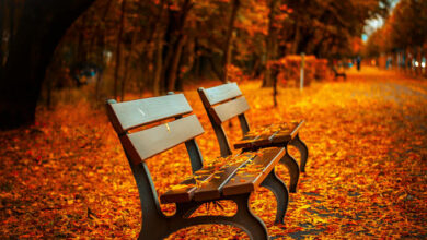 automne 2026