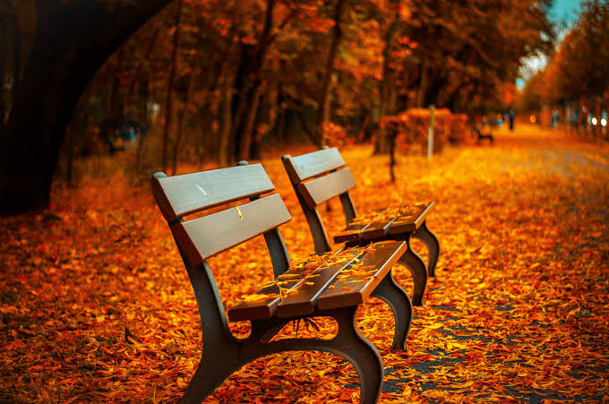 automne 2026