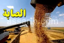 cereales Tunisie