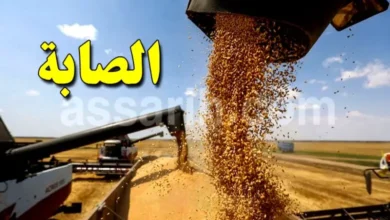 cereales Tunisie