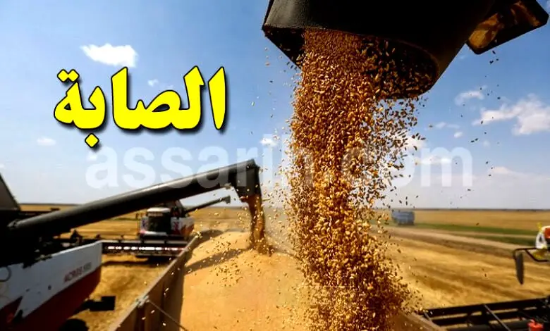 cereales Tunisie
