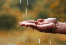 eau de pluie