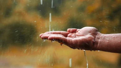 eau de pluie