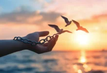 freedom