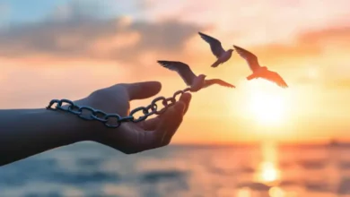 freedom