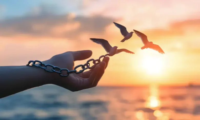 freedom