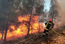 incendie foret