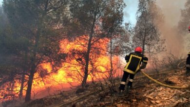 incendie foret