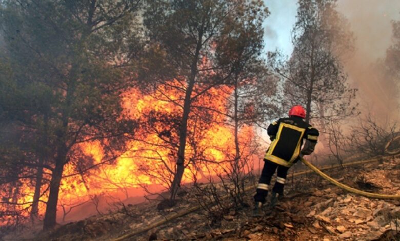 incendie foret