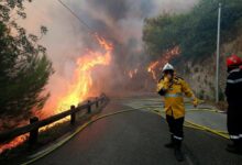 incendie foret france