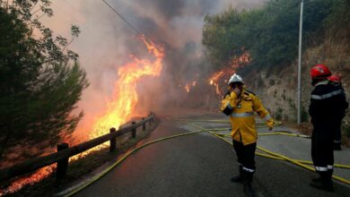 incendie foret france