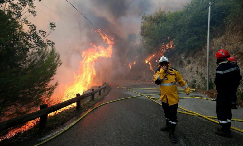 incendie foret france