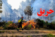incendie-tunisie-2-780x470