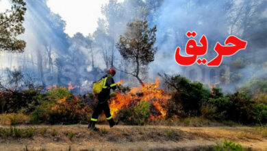 incendie-tunisie-2-780x470