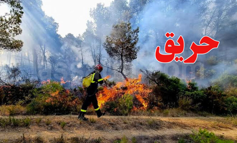 incendie-tunisie-2-780x470