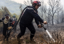 incendies Forets Algerie