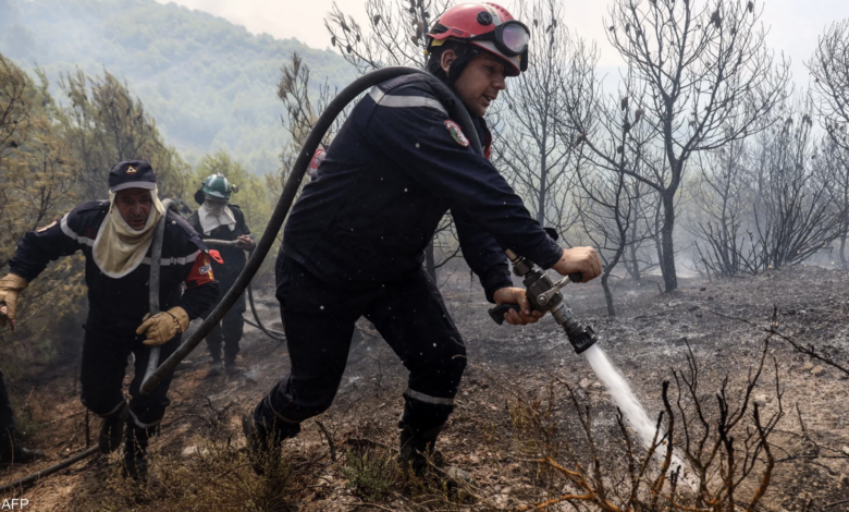 incendies Forets Algerie
