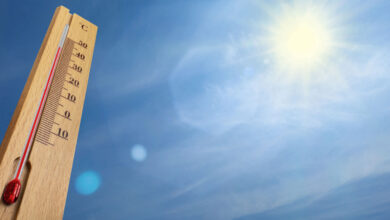 meteo