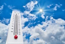 meteo