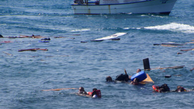 migration