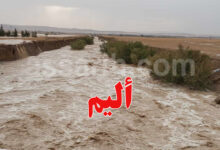plouie tunisie