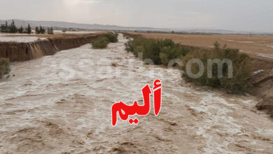 plouie tunisie
