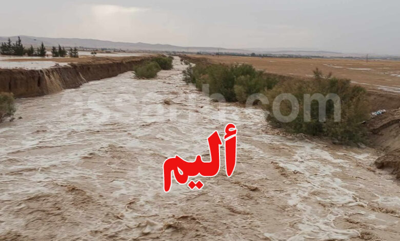 plouie tunisie