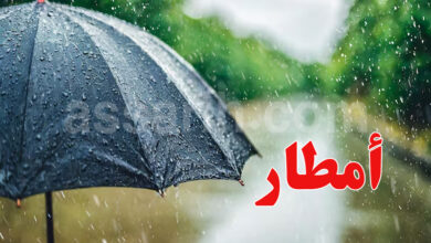 pluie