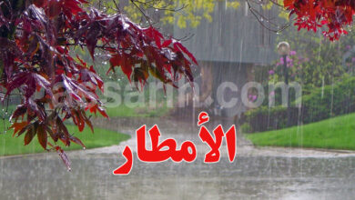 pluie