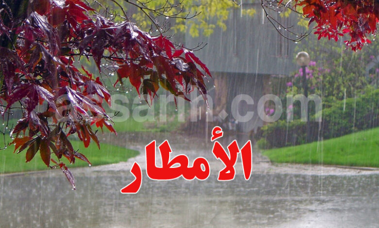 pluie