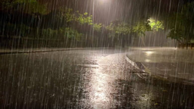 pluie