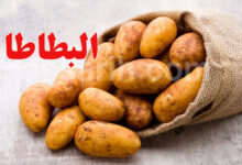 pomme de terre