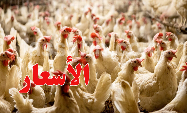 poulet