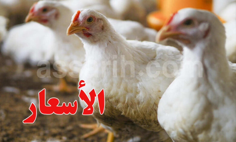 poulet