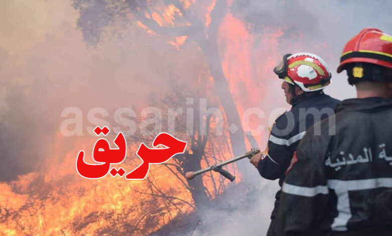 protection civile