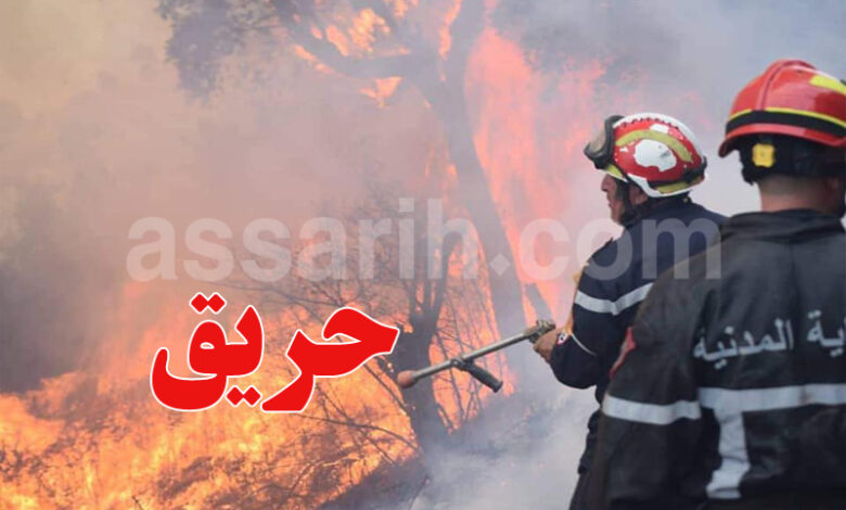 protection-civile-780x470