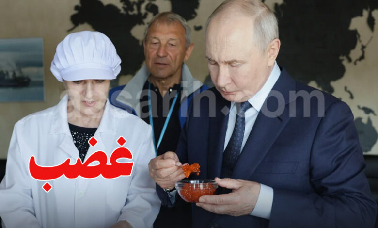 vladimir poutine
