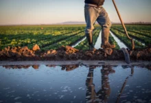 Agriculture eau