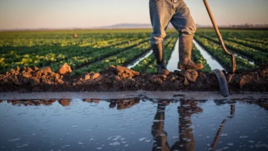 Agriculture eau