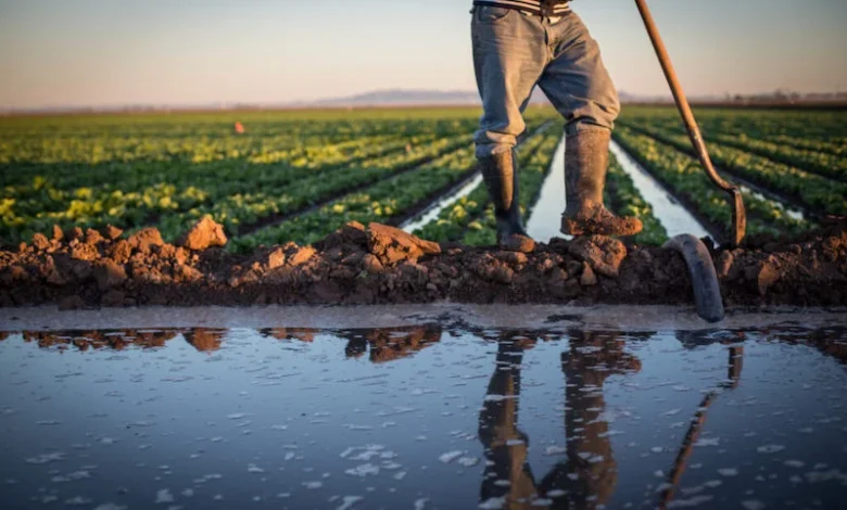 Agriculture eau