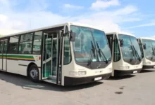 BUS (5)
