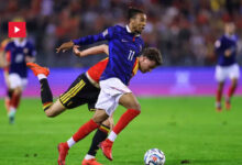 Belgique vs France