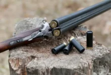 Fusil de chasse