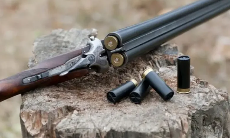 Fusil de chasse